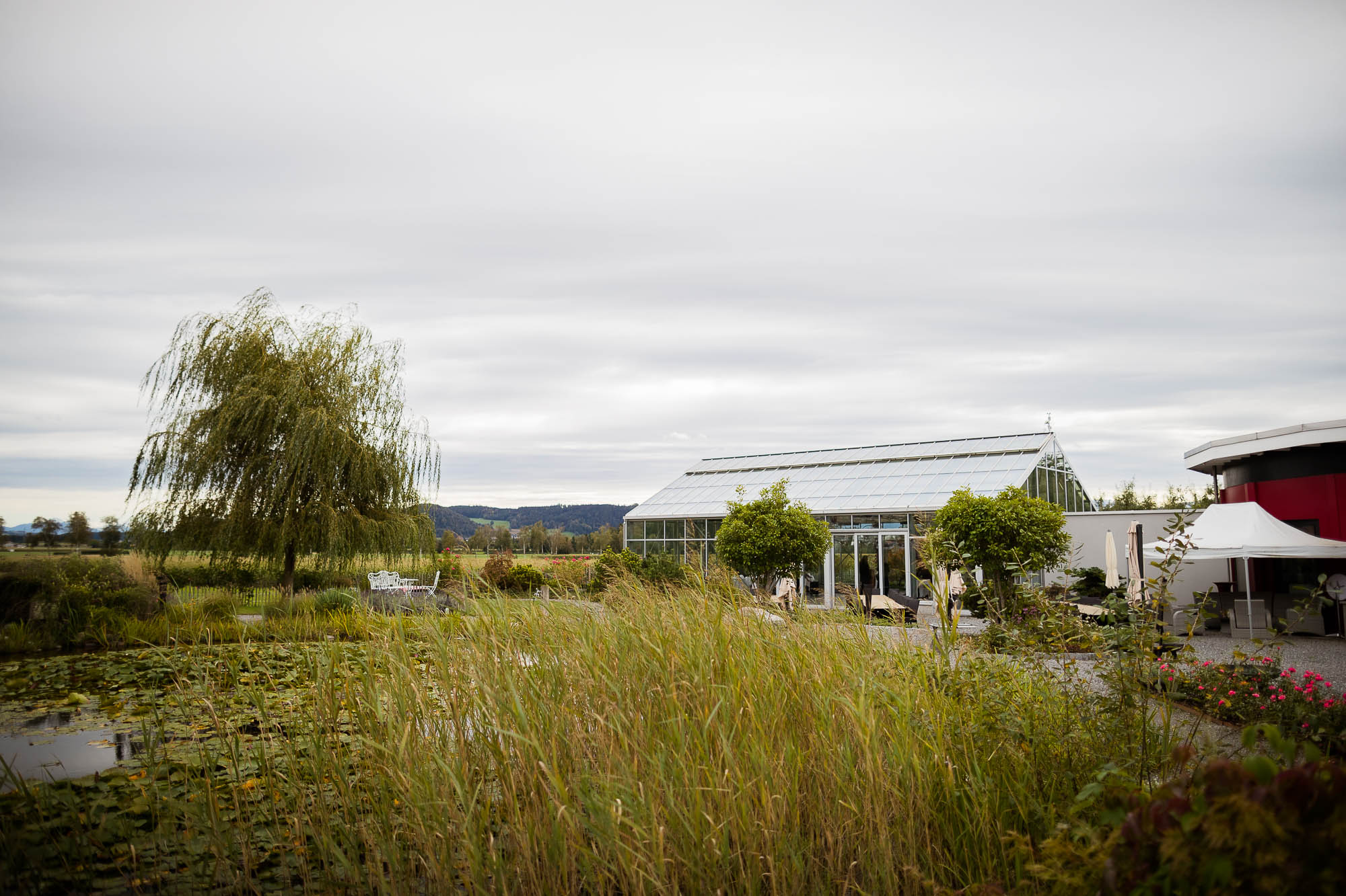 Export x3 1DX27966 Hochzeit 2020 Claudia & Thomas